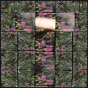 2025 – François CHENG meets the ‘Painting with the Cinema” – Cotation HOTEL DROUOT – GRAND PALAIS/RMN & Centre Pompidou – Fondation CARTIER-BRESSON & Henri Bergson